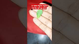 वैकुण्ठ चतुर्दशी के दिन करे उपाय🌺 #shortvideo #shorts #viralvideo #video #pradeepmishra #upay #facts