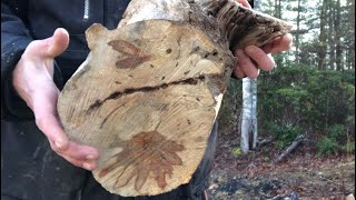 Wood turning Flaming Box Elder