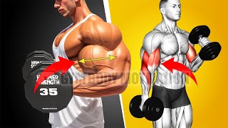 7 Best Biceps Exercises You Will Ever Need Building Arm Muscles