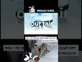 Parallax Scroll Tutorial | HTML, CSS, & JavaScript | Day 12 of 100 Day Coding Challenge