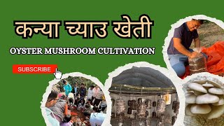 कन्या च्याउ खेती प्रविधि | Oyster Mushroom Cultivation | Manich Rai