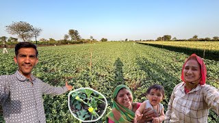 અમારા તરબૂચ 😍 || Life at Botad Village Vlogs