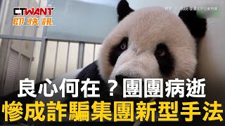 CTWANT 社會新聞 / 良心何在？團團病逝　慘成詐騙集團新型手法