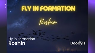 Roshin - Fly in Formation interview