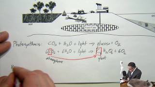 Lecture 16:  Introduction to the carbon cycle