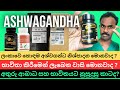 අශ්වගන්ධ පිළිබඳ ඔබ දැනගත යුතු සියලුම කරුනු | Ashwagandha best sinhala review On youtube