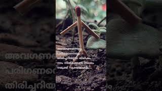 Malayalam Sad Status Video 😢💯