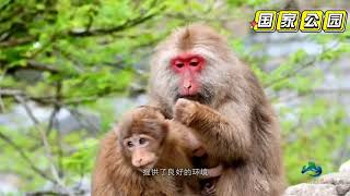 Wuyi Mountain National Park in FuJian China