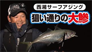 西湘サーフからデカアジを狙え！