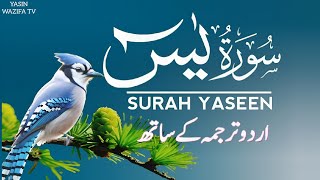 Surah Yasin Full Tilawat | Urdu Translation | Heart-Touching Voice | Hindi Tarjuma | Episode 15