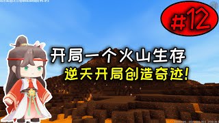 迷你世界：开局一个火山生存第12期，速秒二龙养殖企鹅