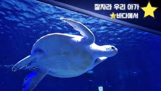 잘자라우리아가 | 잠자리동화 | 자장가 | 돌고래 | 엄마 | 바다에서 | 동화책 | Sleep baby where is fairytale lullaby dolphin mom?