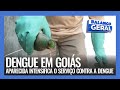 DENGUE EM GOIÁS: APARECIDA INTENSIFICA O SERVIÇO CONTRA A DENGUE