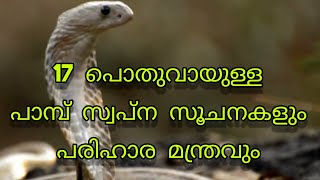 സ്വപ്നങ്ങളിൽ പാമ്പിനെ കണ്ടാൽ അറിയേണ്ട കാര്യങ്ങൾ||17 Common Dreams about Snake||