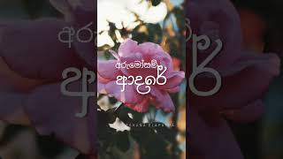 අරුමෝසම් ආදරේ @tunewave2005