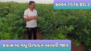 સાવન 7576 કપાસ વેરાયટી-2022