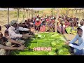 the asian boy brought fresh fruit which african villagers saw for the first time.