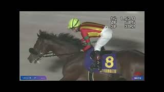 2024/12/4大井11R 第16回勝島王冠(S2・ダ1,800M)-キングストンボーイ