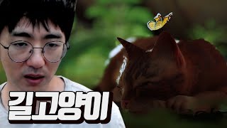 길고양이가 된 나 STRAY 1~2일차 240807