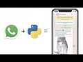 How to Send a WhatsApp Message with Python