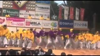 第62回 高知よさこい祭り