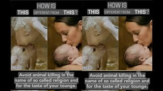 #animal EAT ANIMALS DIE LIKE☝🏼RELIGIONS WERE DESIGNED TO DIVIDE & POLITICS WAS CREATED TO RULE#wars