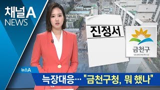 ‘땅꺼짐 사고’ 늑장대응에 “금천구청, 뭐 했나” | 뉴스A