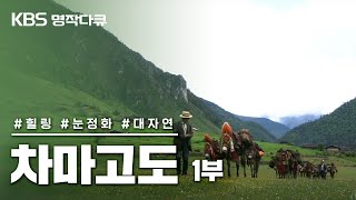 [KBS명작다큐]  '차마고도'  1부: 마지막 마방 (FULL영상)