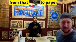 How the ancient Egyptians created the first PAPER in Human History