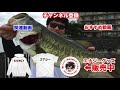 【バス釣り】秋のデカバス＆初ショアジギングサビキで遊んでみた！