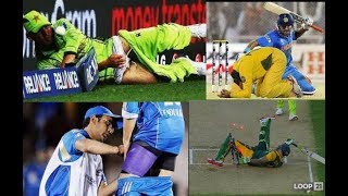Top 10 WTF Moments in Cricket History of all Times | Cricket WTF Moments THE CRAZY CRICKETS