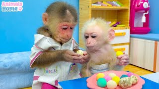 BiBi farmers harvest eggs as food for baby monkeys Obi