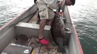 DEPS-H2N64R    VS   PNG BLACK BASS