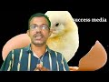 ഹാച്ചിങ്ങ് മുട്ടകൾ എങ്ങനെ തെരെഞ്ഞെടുക്കും. how to identify hatching eggs