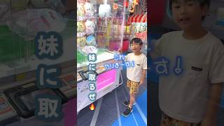 【妹にハチワレ取るぜ🔥クレーンゲーム🐰】#shorts 【店員さんありがとう♡🥹】