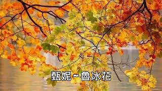 甄妮 ~ 魯冰花