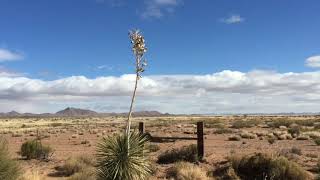 Cooks peak deming nm 16