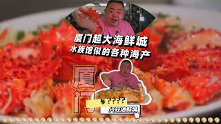 超硬核海鲜城，手臂粗皮皮虾，拳头大蟹钳肉，在海边就任性一点【吃主老田】