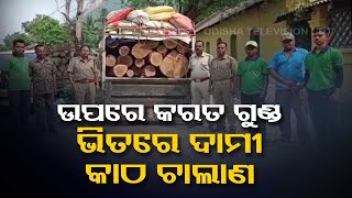 Forest dept foil smuggling bid, timber-laden vehicle seized in Balasore