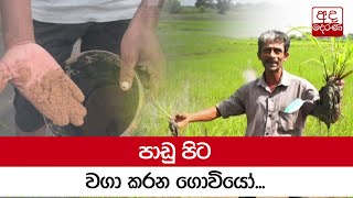 පාඩු පිට වගා කරන ‌ගොවියෝ...