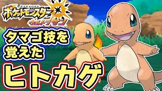 【ポケモンUSUM】タマゴ技を覚えた「ヒトカゲ」が出現！島スキャン、日曜日のメレメレ島【ウルトラサンムーン実況】