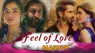 Feel Love Mashup | Love Mashup 2024 | Bollywood Hindi Love Mashup | Best of 2024