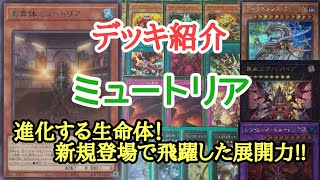 【遊戯王】　化学兵器『ミュートリア』デッキの紹介