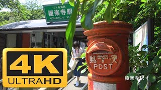 極楽寺駅と海が見える成就院 in 鎌倉 4K