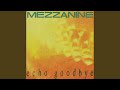 Echo Goodbye