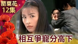 兒被抓學廣愛惜羽毛竟不理　杜鵑得知策畫返家幕後主使【罌粟花完整版】EP12 張庭 梁家榕 艾偉 李天柱 柯淑勤 楊貴媚 梁修治 王燦 @FlowerTVseries