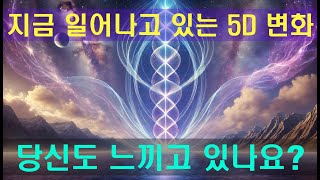 💫5D 전환, 지금 당장 당신의 현실을 뒤흔듭니다💫