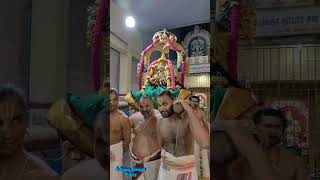 ஸ்ரீ அலர்மேல் மங்கா தாயார் புறப்பாடு🙏| காதுகளுக்கு இனிமையான வேதம்🙏||#srinivasaperumal