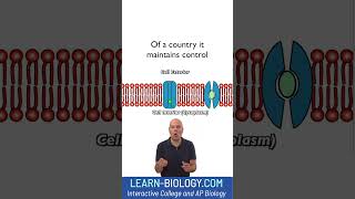 A Rap About Cell Membranes Verse 1 And Chorus Apbiology Cellmembrane Cellstructureandfunction