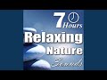 Storm Sounds - Distant Thunder With Relaxing Rain